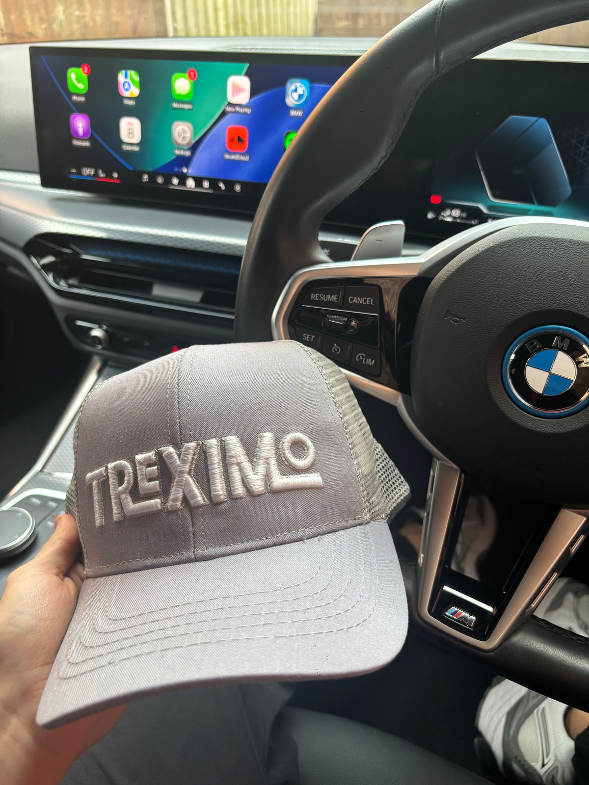 Linear Trucker Cap